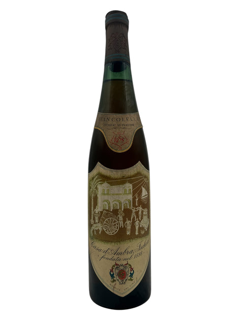 Biancolella 1955 Supiore